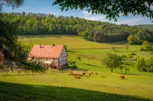 Secure Rural Property Secure Rural Property
