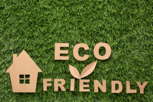 Green Home: Eco Insulation Green Home: Eco Insulation